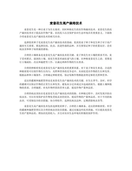 麦套花生高产栽培技术