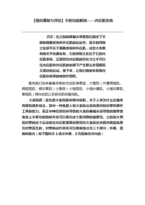【骨科康复与评估】手的功能解剖——内在肌系统
