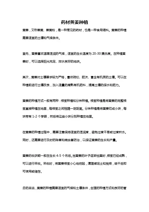 药材黄姜种植
