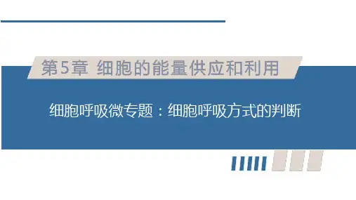 呼吸作用微专题：细胞呼吸方式的判断 高一上学期生物人教版必修1