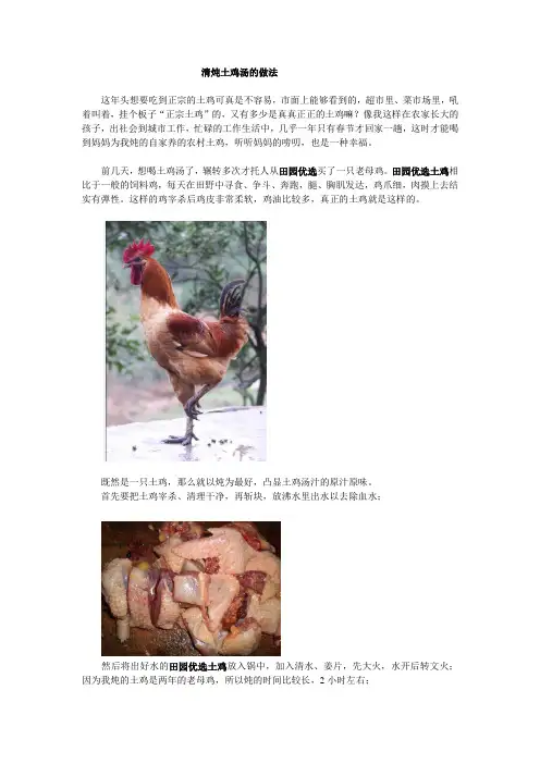 清炖土鸡汤的做法