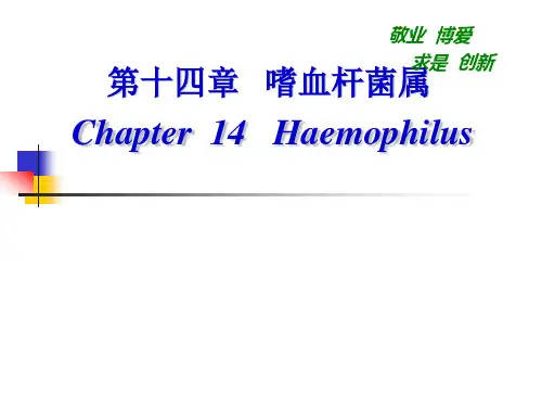 第14-15章嗜血杆菌属