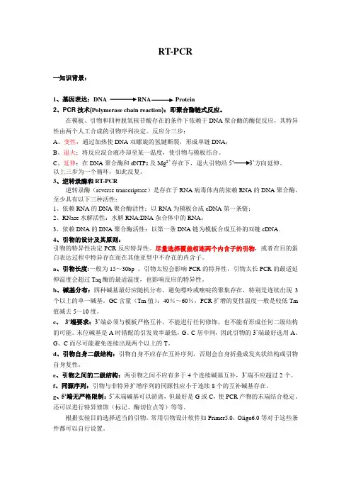 RT-PCR操作流程及其相关注意事项