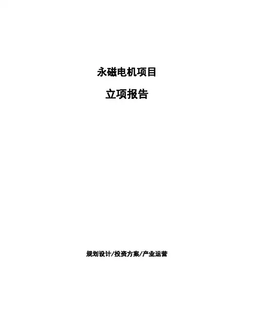永磁电机项目立项报告 (1)
