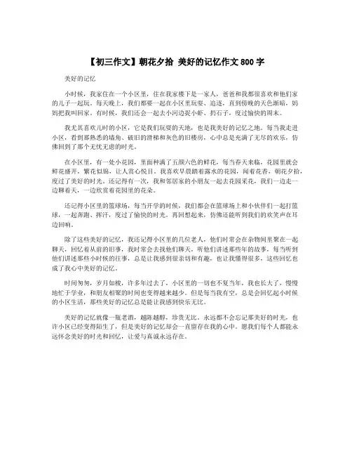 【初三作文】朝花夕拾 美好的记忆作文800字
