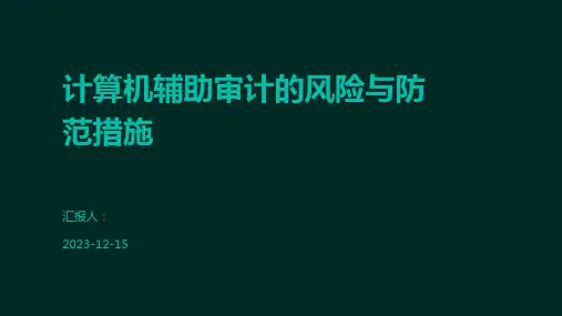 计算机辅助审计的风险与防范措施