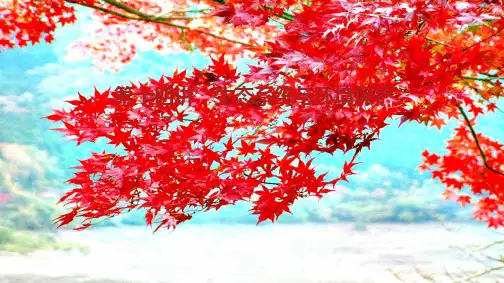 高考生物二轮复习专题6生物与环境第14讲生态系统与环境保护课件高三全册生物课件
