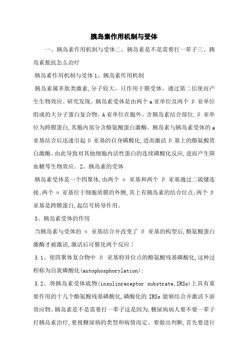 胰岛素作用机制与受体