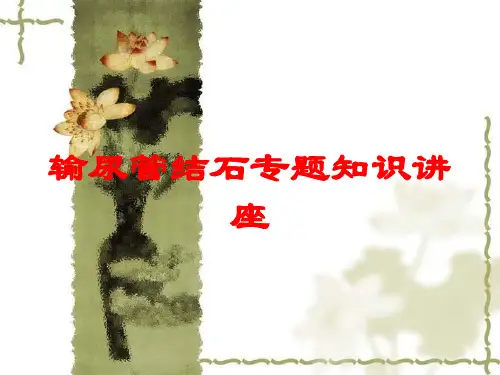输尿管结石专题知识讲座培训课件