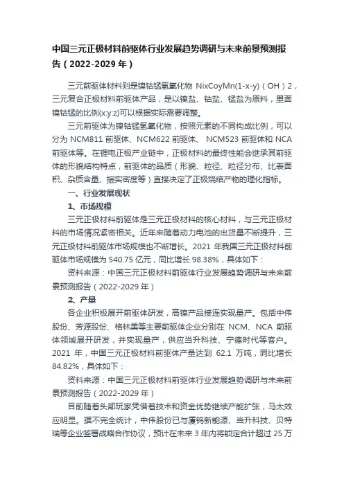 中国三元正极材料前驱体行业发展趋势调研与未来前景预测报告（2022-2029年）