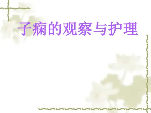 子痫的观察与护理 ppt课件