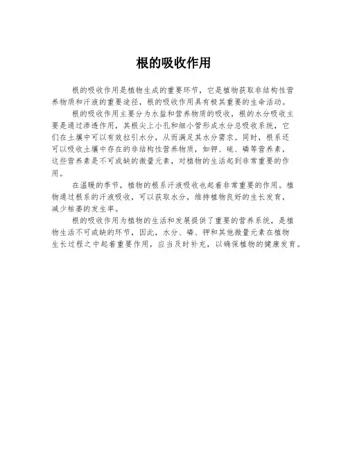 根的吸收作用