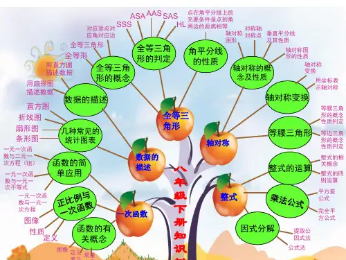 八年级下知识树