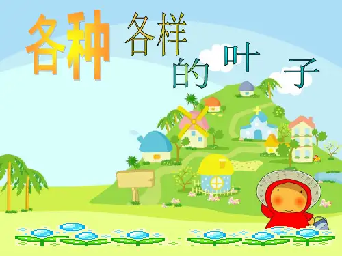各种各样的叶子39417ppt课件