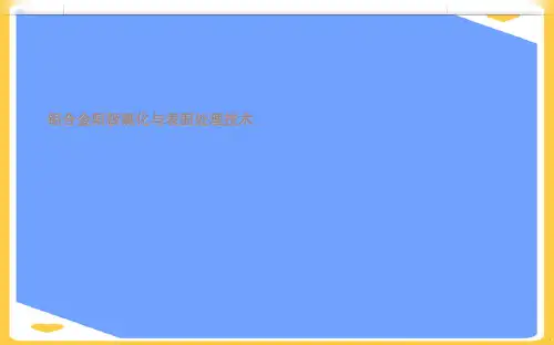 铝合金阳极氧化与表面处理技术.正式版PPT文档