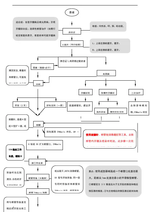 根管治疗操作流程