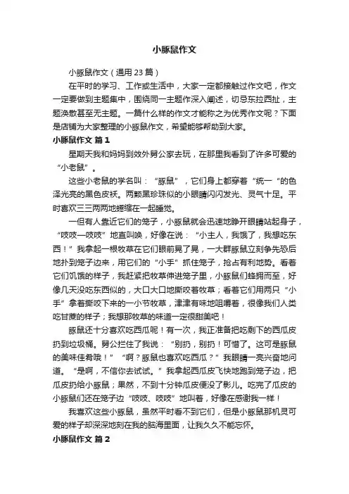 小豚鼠作文
