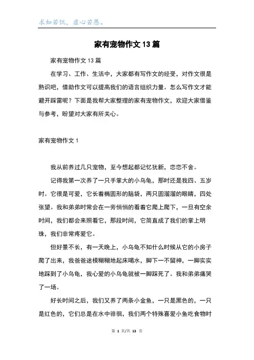 家有宠物作文13篇
