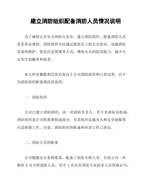 建立消防组织配备消防人员情况说明