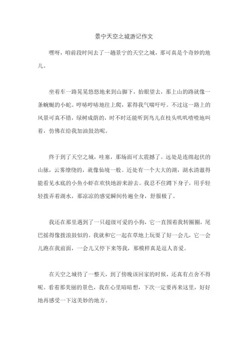景宁天空之城游记作文