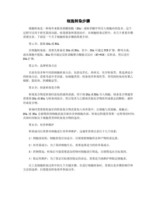 细胞转染步骤