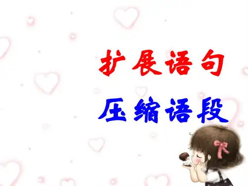 高考专题复习：扩展语句与压缩语段.ppt
