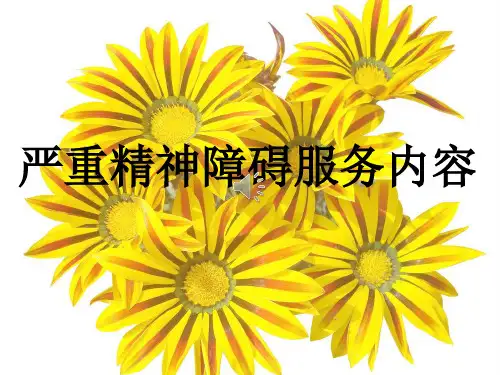 重性精神病服务内容1