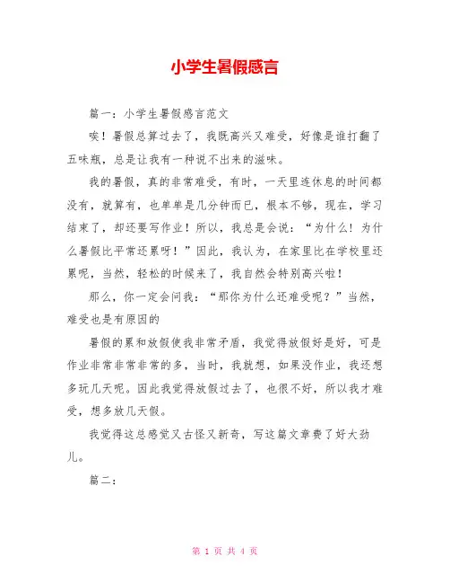 小学生暑假感言