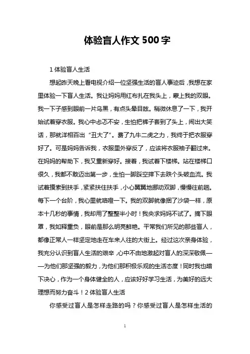 体验盲人作文500字
