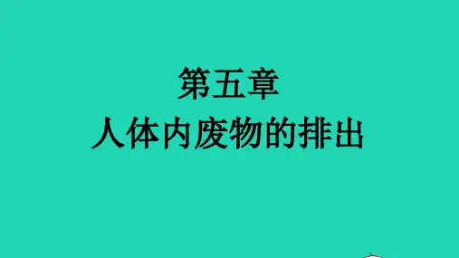 七年级生物下册第四单元生物圈中的人第五章人体内废物的排出课件新版新人教版