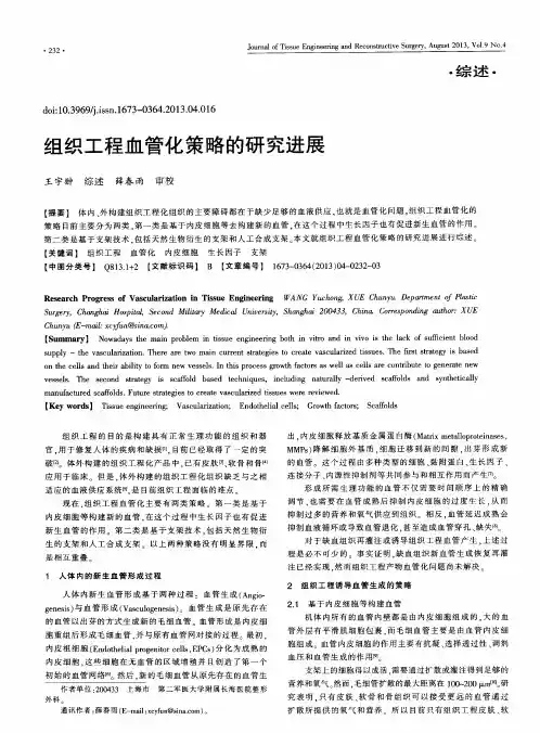 组织工程血管化策略的研究进展