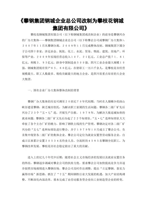 《攀钢集团钢城企业总公司改制为攀枝花钢城集团有限公司》