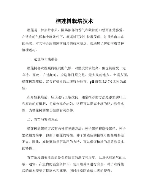 榴莲树栽培技术