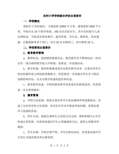 农村小学学校综合评估自查报告