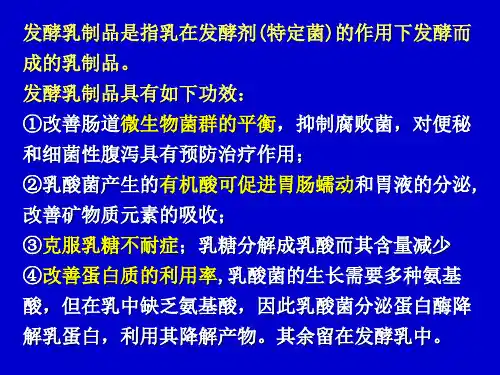发酵乳制品