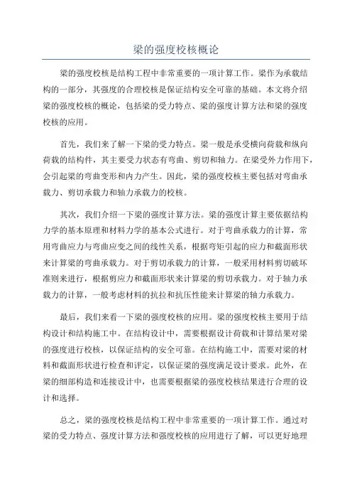 梁的强度校核概论
