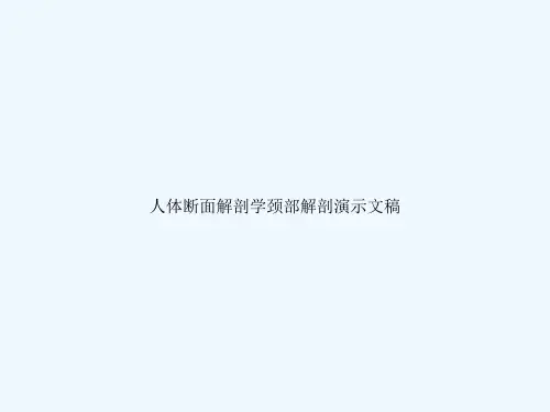 人体断面解剖学颈部解剖演示文稿