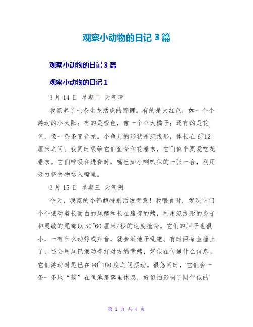 观察小动物的日记3篇