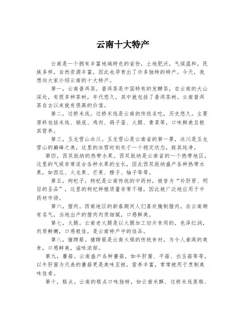 云南十大特产