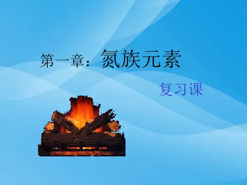 氮族元素复习课ppt化学课件PPT