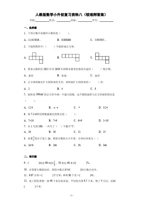 人教版数学小升初复习资料八(较难附答案)