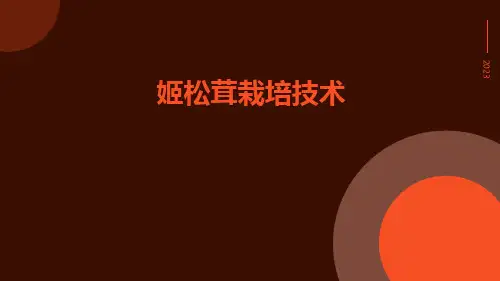 姬松茸栽培技术