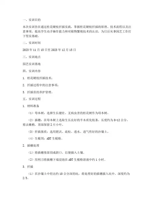 桂花的硬枝扦插实训报告