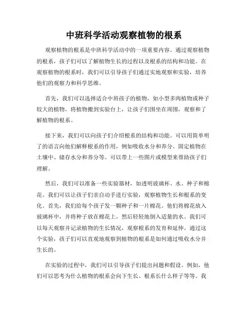 中班科学活动观察植物的根系