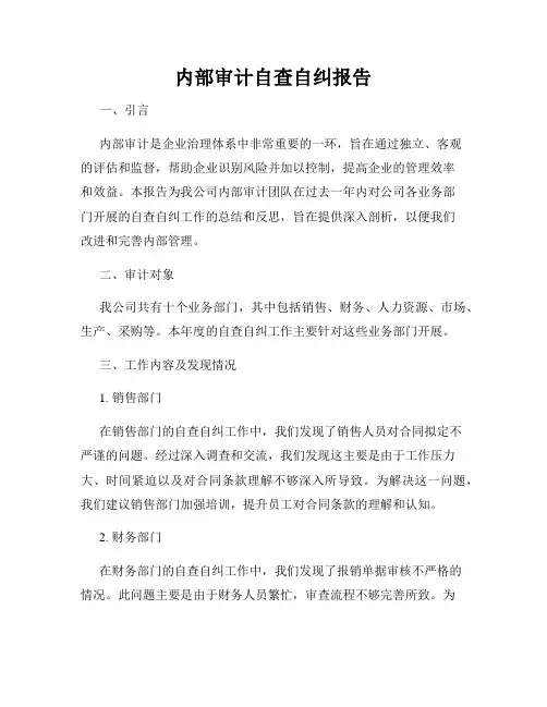 内部审计自查自纠报告