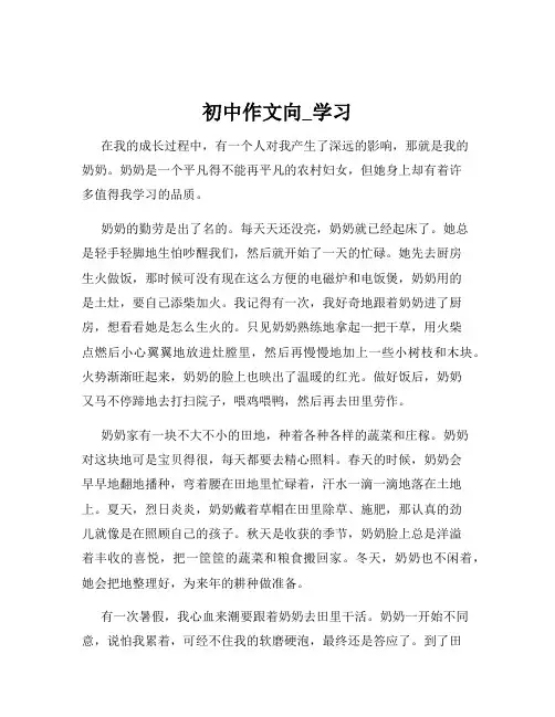 初中作文向_学习