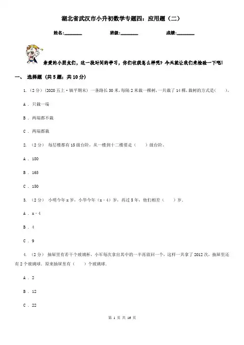 湖北省武汉市小升初数学专题四：应用题(二)