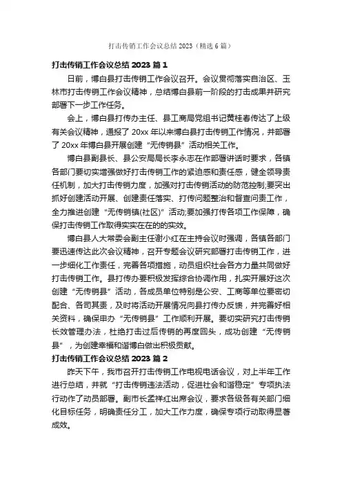 打击传销工作会议总结2023（精选6篇）