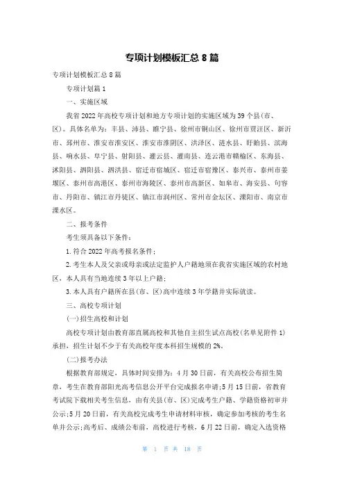 专项计划模板汇总8篇
