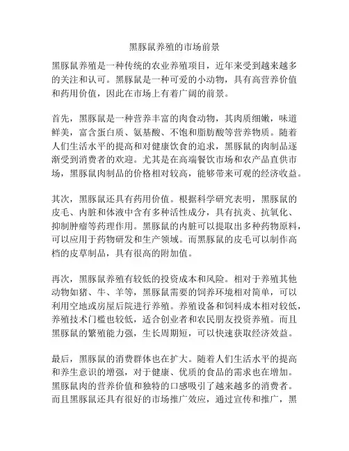 黑豚鼠养殖的市场前景
